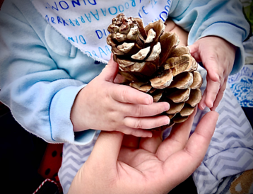 Child's hand with adult hand placing a pine cone into it